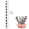 Black Striped Paper Straws, Pack of 100 Disposable Black &