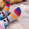 Cucamelon Unisex Baby Snuggle Bugs Sock Gift, Multi, One Size,