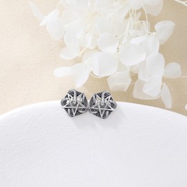Pentagram Earrings for Women Men 925 Sterling Silver Pentagram Snake Stud Earrings Jewelry Gifts for Women Men