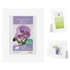 Hakuba MCPS-2LWT Color Paper Stand, 0.6 gal (2 L) (Mildew)