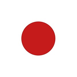 La Roche-Posay Roche Posay Silicium Nagellack 24 Rouge, 6 ml