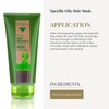 SALERM - Hair Mask - Biokera Natura Specific Oily Hair
