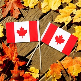 25 Pack Small Canada Flag, Handheld Canadian Maple Leaf Flags with Plastic Sticks, National Day Celebration Party Decorations Supplies For Outdoor Parades, World Cup, Festival Events, 5.5x8.3inch/14x21cm
