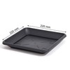 Prosperplast Quadratischer Untersetzer für Blumenkübel Pflanzkübel anthrazit 17 x 17