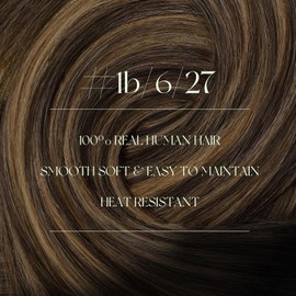 RUNATURE Clip in Human Hair Extensions, Balayage Real Human Hair Clip in Extensions for Women, Double Weft Ombre Natural Hair, 22 Inch 120g 7pcs, #1B/6/27 Black Rooted to Brown Highlight Honey Blonde