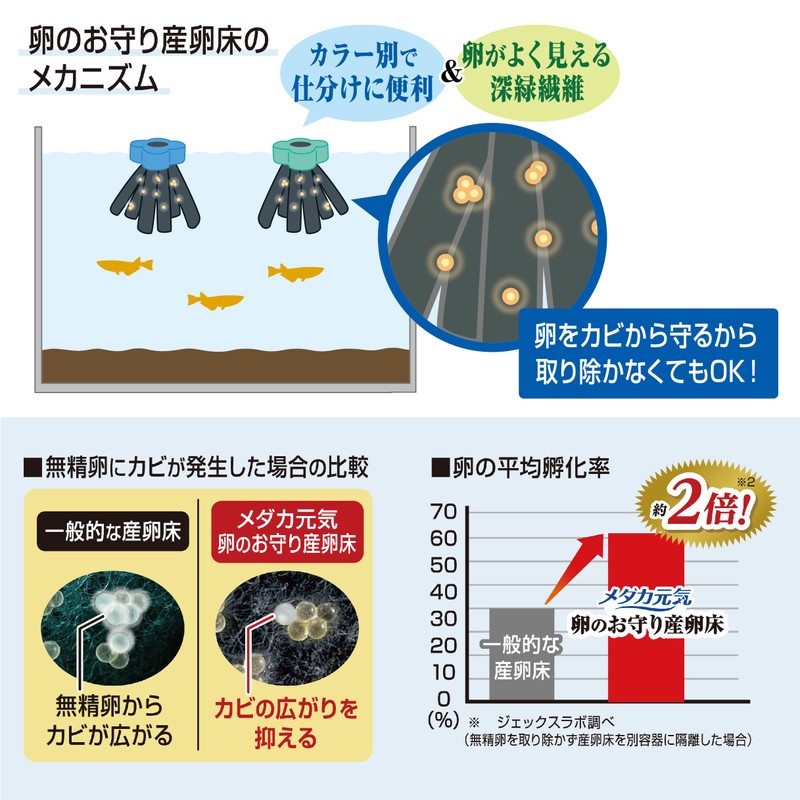 Gex GEX Medaka Genki Egg Amulet Laying Floor, Prevents Egg