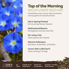 Eden Brothers Top O The Morning Flower Mixed Seeds for Planting, 1 lb, 480,000+ Seeds with Morning Glory, Moonflower | Attracts Pollinators, Plant in Spring or Fall, Zones 3, 4, 5, 6, 7, 8, 9, 10