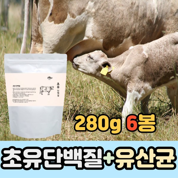 Large Capacity Colostrum Protein Powder Lactic Acid Bacteria Elderly Protein Powder WPC Concentrated Whey Protein Simple High Protein Oat Dietary Fiber Carbohydrate Male / 대용량 초유 단백질 가루 유산균 노인 프로틴 파우더 WPC 농축 유청단백질 단체 고단백 귀리 식이섬유 당백질 남