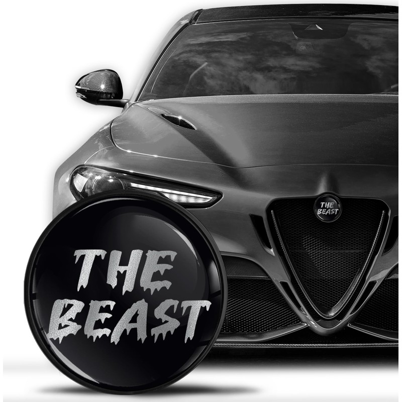 SkinoEu Compatible with Alfa Romeo Front Bonnet Badge Rear Boot