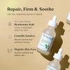 Suero de Ácido Hialurónico Concentrado Hyaluronic Acid Serum, Vegan Organic