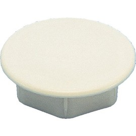 Inaba Denko WM-60-I Wall Cap Hole Lid