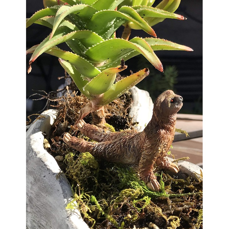 Yoga With Sloths Figurines Set of Five - 3" Sloth