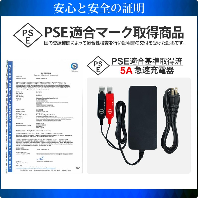 HEMAJUN 5A Rapid Charger for Electric Reels, Alligator Version, 5.0A