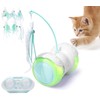 ZeLing HTL Remote Control Cat Toy with Auto Mode -
