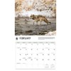 Carousel Calendars, Wolves WWF 2026 Wall Calendar, 12.01'' X 14.09'',