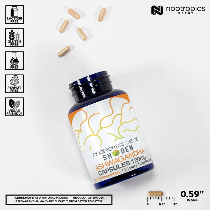 Nootropics Depot Shoden Ashwagandha Extract Capsules | 120mg | 30