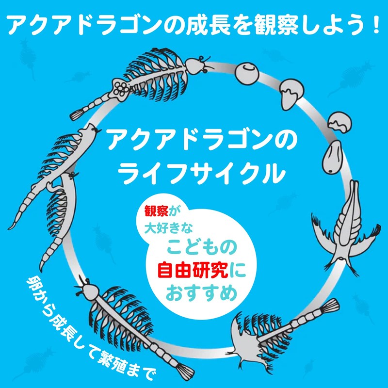 Aqua Dragons Aqua Dragon Breeding Kit Japanese Version Artemia Cultivation