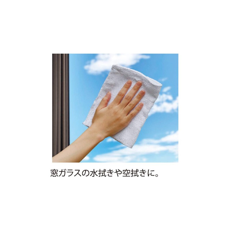 HouseLab Cleaning Cloth, 10 Count