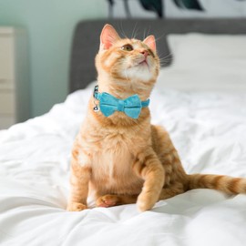 2 Pcs Velvet Cat Bow Tie Collar Breakaway Cat Collar with Bell Adjustable Bowtie Kitten Small Puppy Safety Collar Solid Color Set Pet Bow Tie Collar (Pink, Blue)