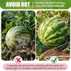 Zerodis Pack of 10 Melon Weighing Stands, Watermelon Stands, Melon