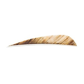 SAS 4-in Parabolic RW Feathers Camo Colors Archery Arrow Fletching - 1DZ - Made in USA (Camo Brown)