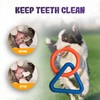 LEE BONBON Tug of War Dog Toy – Interactive Toy