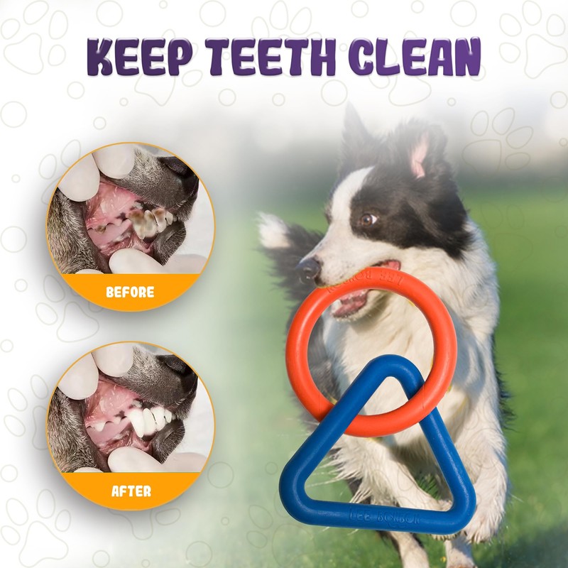 LEE BONBON Tug of War Dog Toy – Interactive Toy