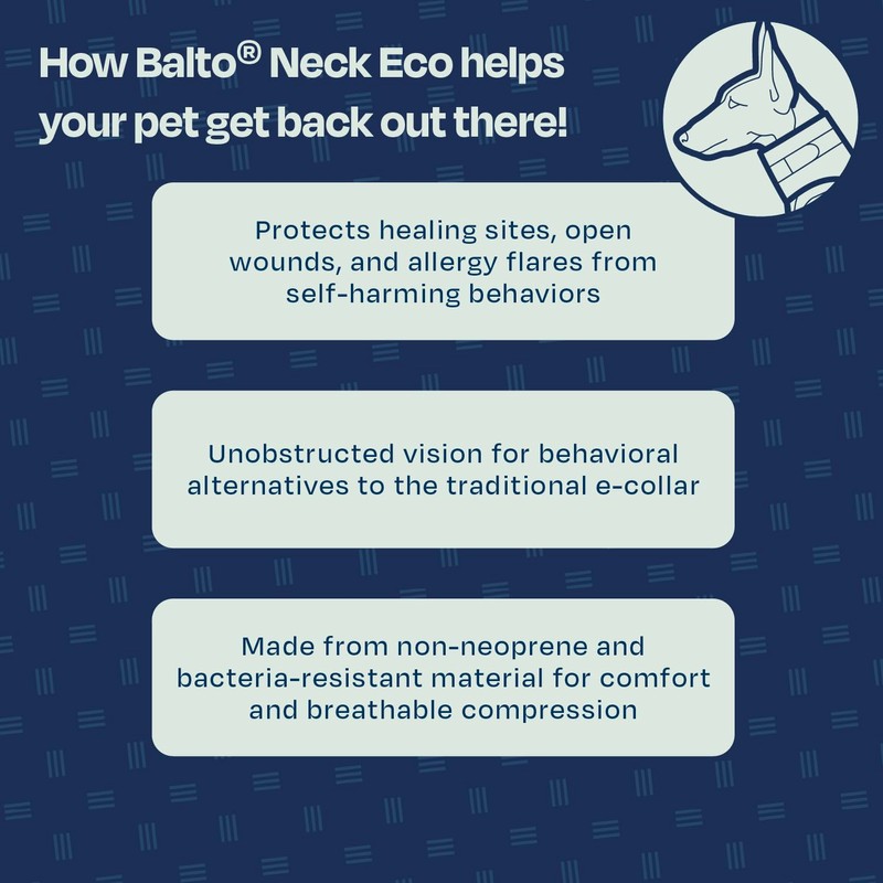 Balto Neck Eco Soft Recovery Collar for Dogs – E-Collar