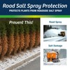 Wilt-Pruf® Original Winter Plant Protection | Ready-to-Spray | Maximum Strength