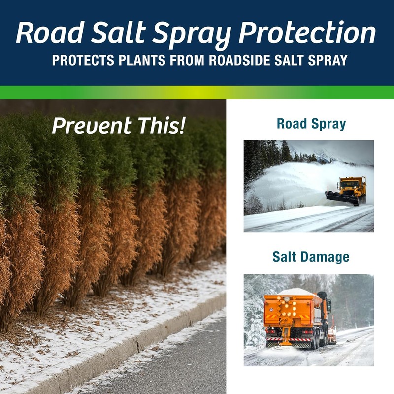 Wilt-Pruf® Original Winter Plant Protection | Ready-to-Spray | Maximum Strength