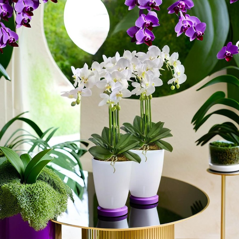 SANTINO Orchid Pot Diameter 12 cm Self-Watering Pot with Wick