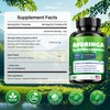 Moringa Capsules 12000mg – Organic Moringa Oleifera Leaf Powder, High