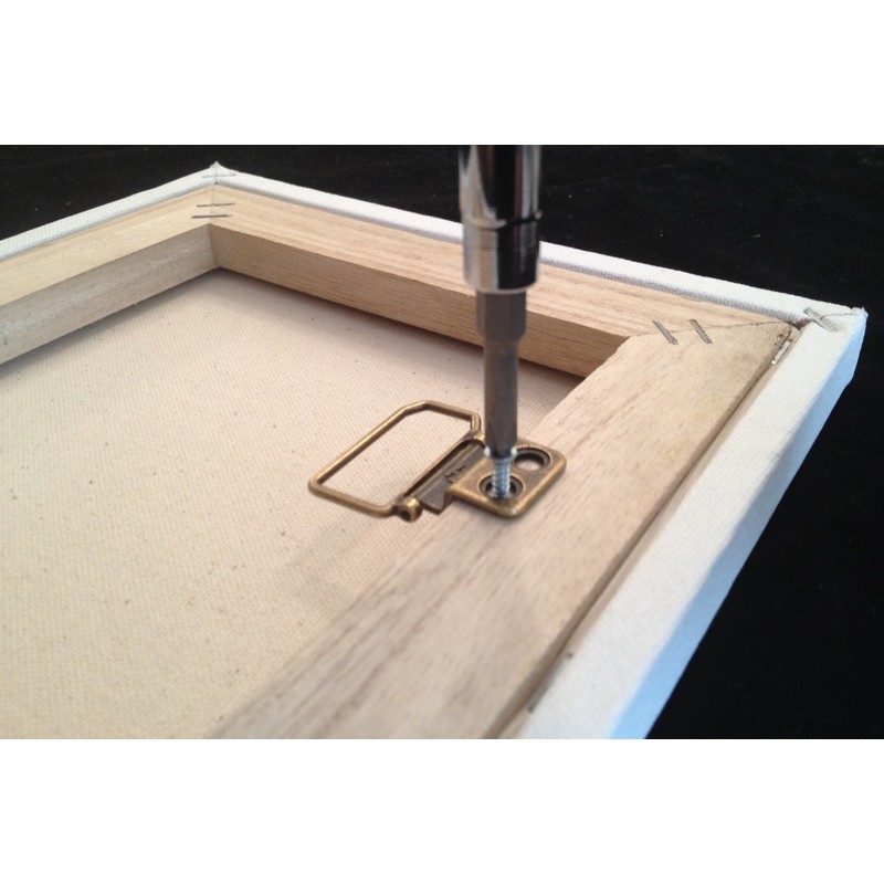 HangZ 11031 Flat Mount 2-Hole D-Ring Picture Hanger Kit, 30lb