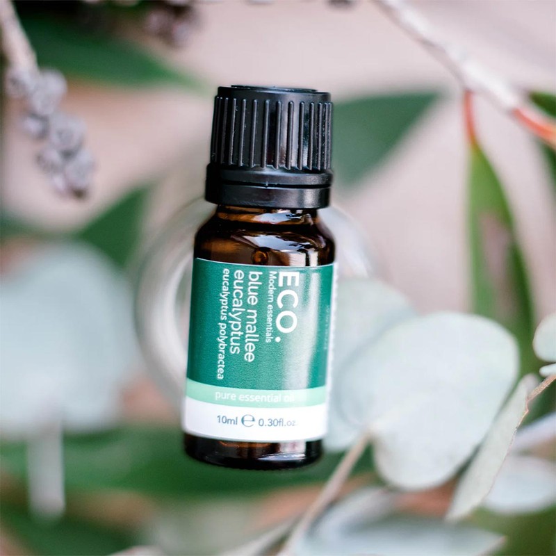 ECO. Modern Essentials Australian Eucalyptus (Blue Mallee) Pure Essential Oil,