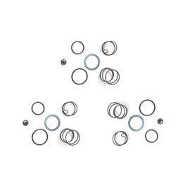 TALSWIF N078434 Spring kit with N089668 Steel Ball fits DCF885 DCF886 20 V Impact Wrench Spring Kit, Whole Set for Complete Installation (3 Set/Pack)