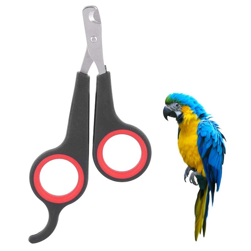Solid Stainless Steel Bird Nail Clipper, Bird Cage Essential Accessories,