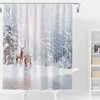Allenjoy 72x72 inch Winter Theme Merry Christmas Shower Curtain Set