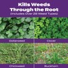 Scotts Turf Builder Bonus S Southern Weed & FeedF2 -