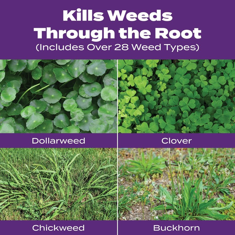 Scotts Turf Builder Bonus S Southern Weed & FeedF2 -