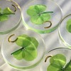 Real Four Leaf Clover Good Luck Pocket Token, Preserved, 1.25”,