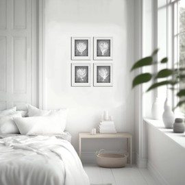 Beach Decor Wall Art Sea Fan Sea Coral Set of 4 Unframed Art Prints