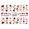 Carnation A