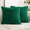 MIULEE Christmas Set of 2 Faux Fur Cushion Covers, Decorative