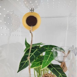 NANEEZOO Spider Hide Magnetic Jumping Spider Habitat Made of Natural Gourd, Handmade Insect Hideout Enclosure Accessories, Cute Decoration for Terrarium Cage