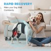 Marnonsis Dog Knee Braces for Back Leg,Support for Large Dogs,XL