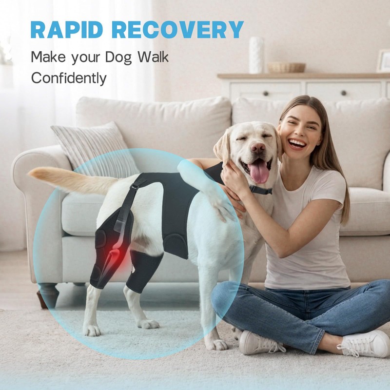 Marnonsis Dog Knee Braces for Back Leg,Support for Large Dogs,XL