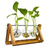 TECHSHARE Propagation Station for Plants, Terrarium for Hydroponic Plants, Plant