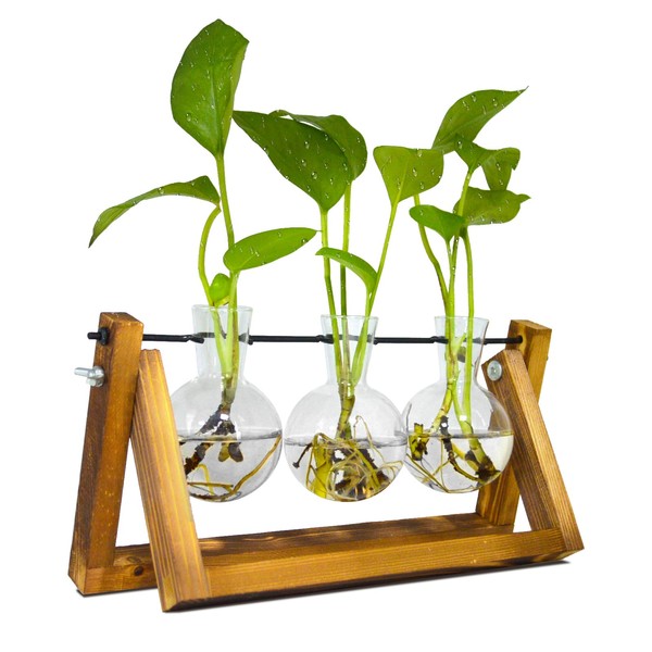 TECHSHARE Propagation Station for Plants, Terrarium for Hydroponic Plants, Plant Terrarium with Wooden Stand Decorate Office, Dining Table, Interior(3 Bulb Vase)