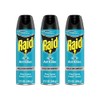 Raid Ant Killer Spray Pine Forest 17.5 Ounce (Pack of