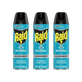 Raid Ant Killer Spray Pine Forest 17.5 Ounce (Pack of 3)